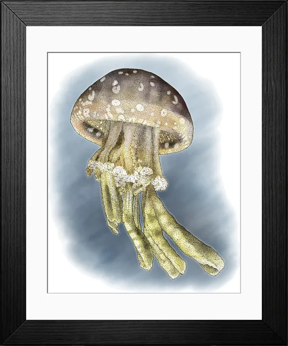 Framed Print : Spotted Jellyfish Framed Print : Spotted Jellyfish