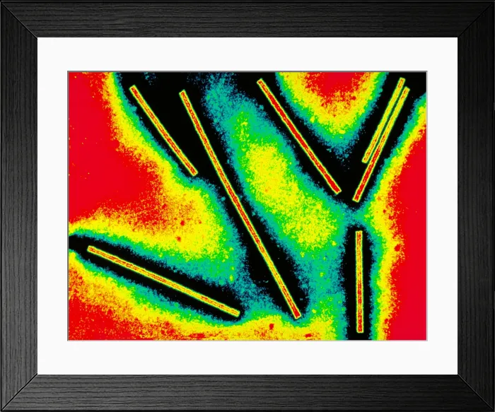 Framed Print : Tobacco mosaic virus Framed Print : Tobacco mosaic virus