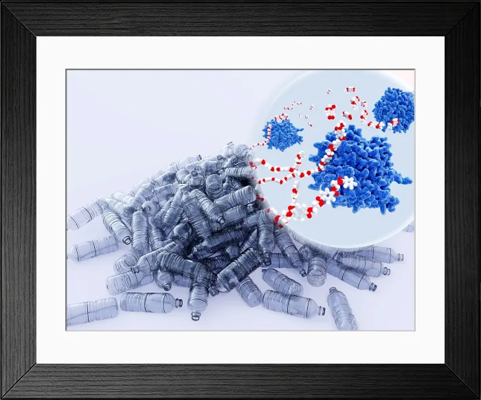 Framed Print : PETase enzymes breaking down PET-plastic Framed Print : PETase enzymes breaking down PET-plastic