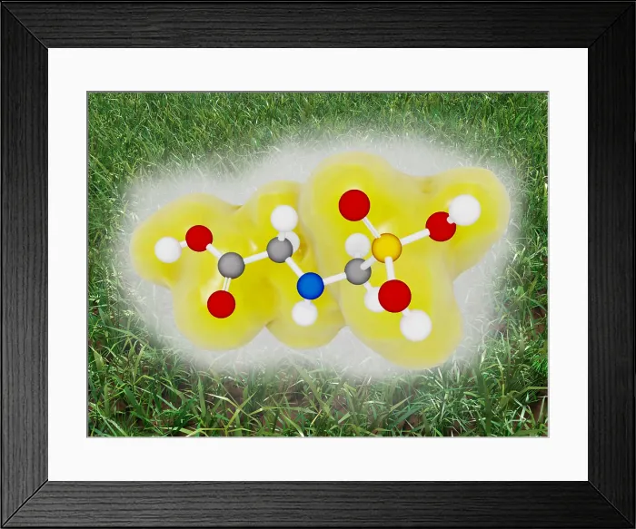 Framed Print : Glyphosate molecule Framed Print : Glyphosate molecule