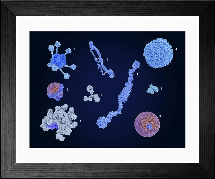 Framed Print : Main Components of the Blood Plasma Framed Print : Main Components of the Blood Plasma