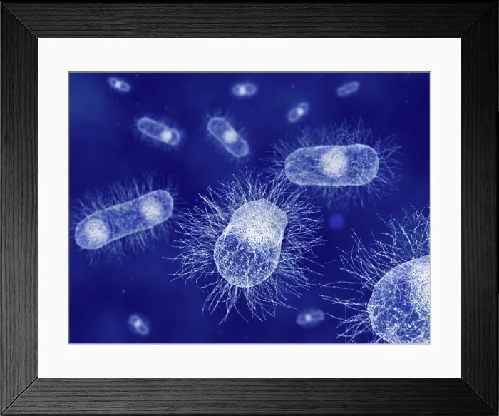Framed Print : E. coli, artwork Framed Print : E. coli, artwork