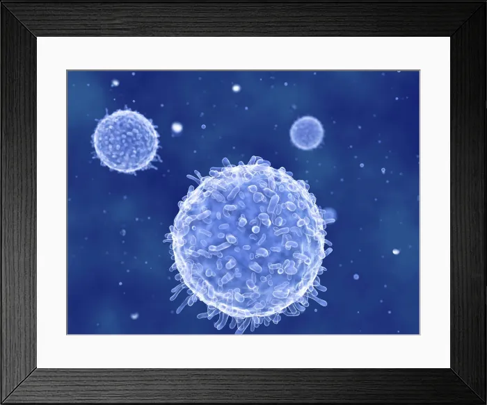 Framed Print : Lymphocytes, artwork Framed Print : Lymphocytes, artwork