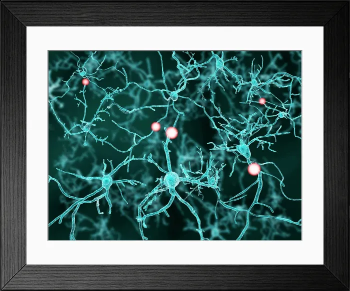 Framed Print : Nerve cells, artwork Framed Print : Nerve cells, artwork