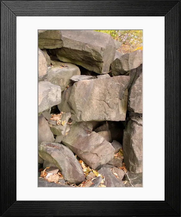 Framed Print : Allegheny Woodrat Habitat Framed Print : Allegheny Woodrat Habitat