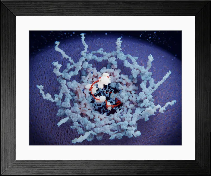 Framed Print : Nuclear pore