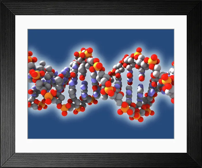 Framed Print : DNA, artwork