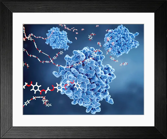 Framed Print : PETase enzymes breaking down PET-plastic Framed Print : PETase enzymes breaking down PET-plastic