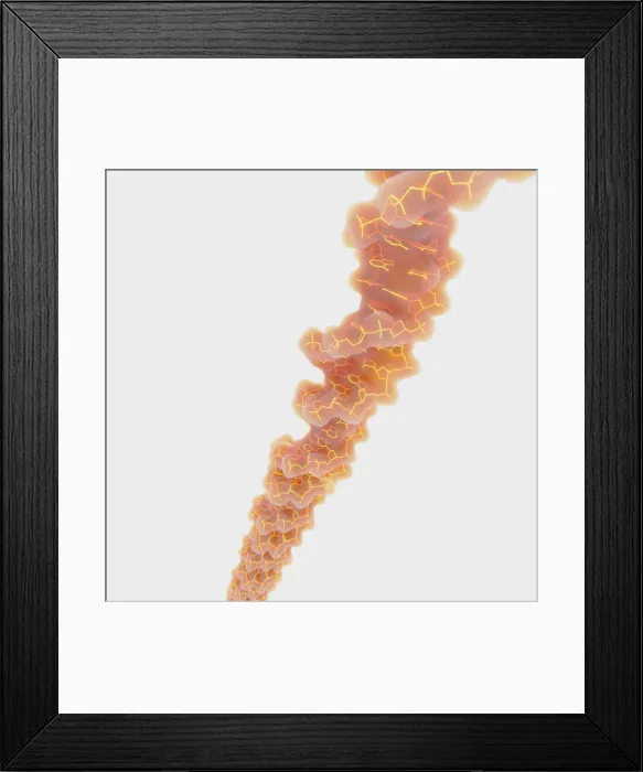 Framed Print : DNA Molecule Framed Print : DNA Molecule