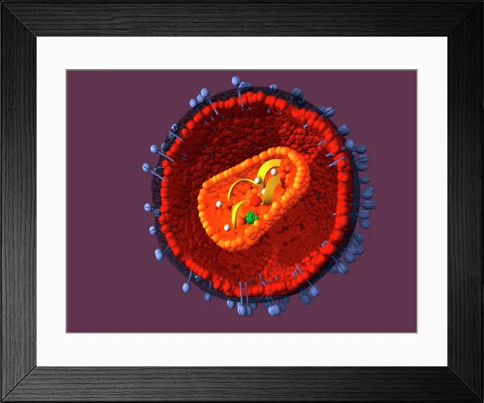 Framed Print : AIDS virus, artwork Framed Print : AIDS virus, artwork