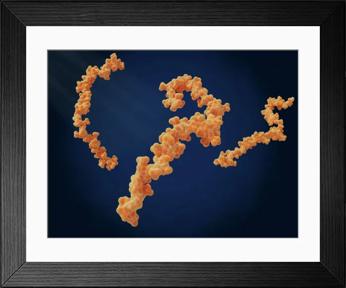 Framed Print : Heparin, anticoagulant