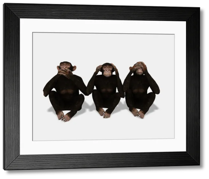 Framed Print : Communication, conceptual artwork Framed Print : Communication, conceptual artwork