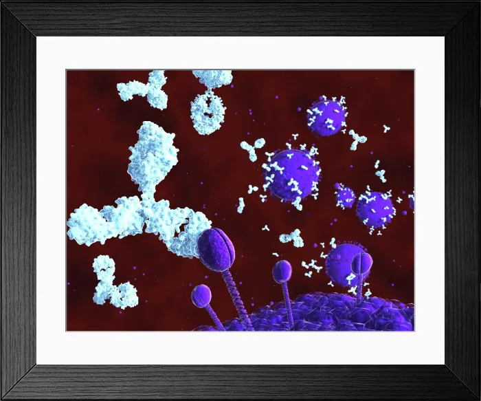 Framed Print : AIDS virus, artwork Framed Print : AIDS virus, artwork