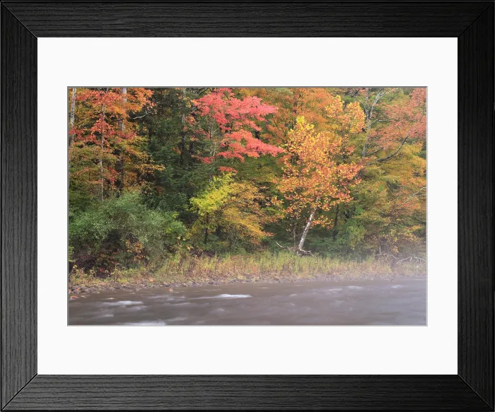 Framed Print : Fall on the Battenkill River