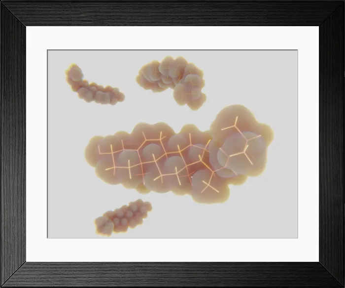 Framed Print : Cholesterol Molecules
