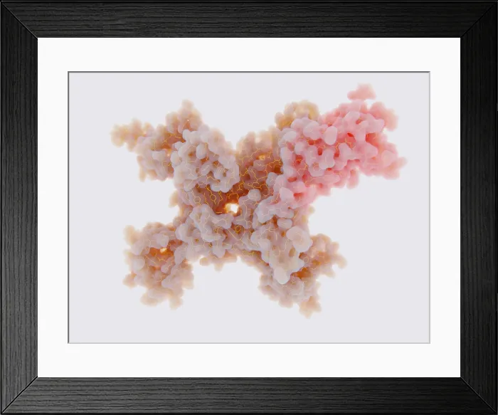 Framed Print : Voltage-gated Sodium Channel in the Open Conformation Framed Print : Voltage-gated Sodium Channel in the Open Conformation