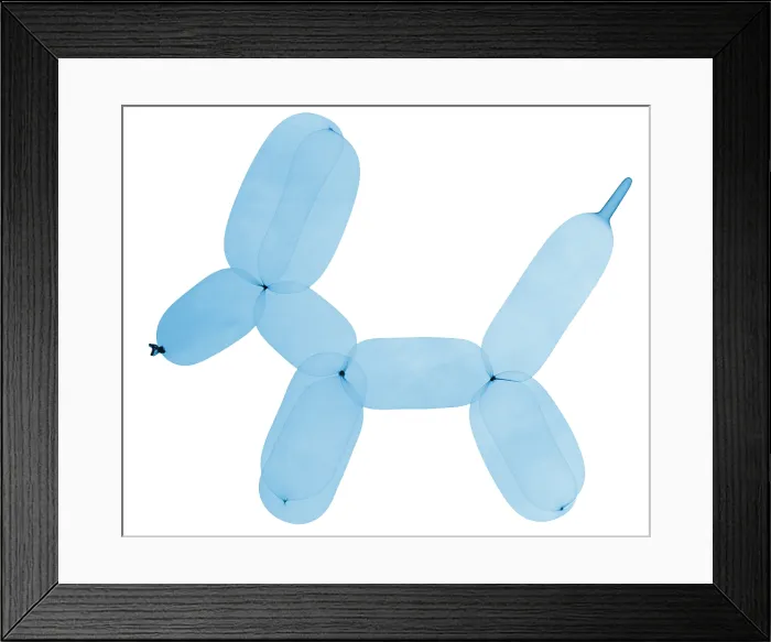 Framed Print : X-Ray of Balloon Dog