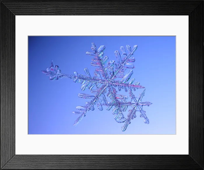 Framed Print : Snowflake. A snowflake or a snow crystal