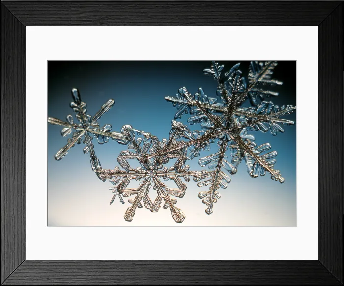Framed Print : Snowflake. A snowflake or a snow crystal