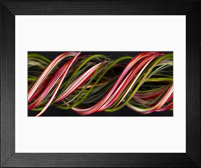 Framed Print : A digital streak image of pink carnation flowers Framed Print : A digital streak image of pink carnation flowers