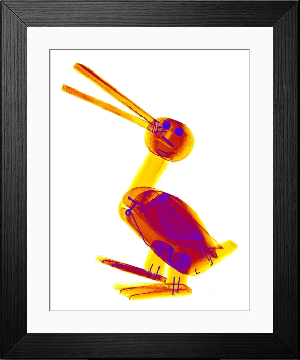Framed Print : X-ray of a Wooden Duck Toy Framed Print : X-ray of a Wooden Duck Toy
