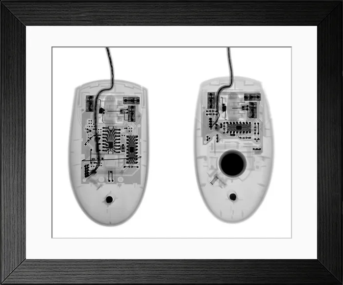 Framed Print : Computer Mouses Framed Print : Computer Mouses