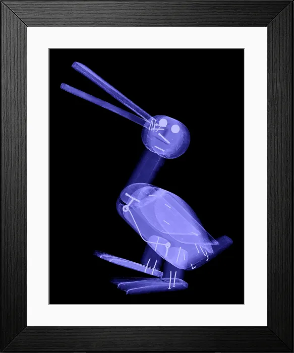 Framed Print : X-ray of a Wooden Duck Toy Framed Print : X-ray of a Wooden Duck Toy