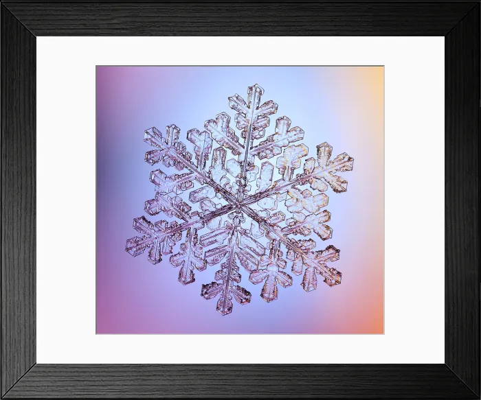 Framed Print : Snowflake with a stellar (or dendritic) crystal form Framed Print : Snowflake with a stellar (or dendritic) crystal form