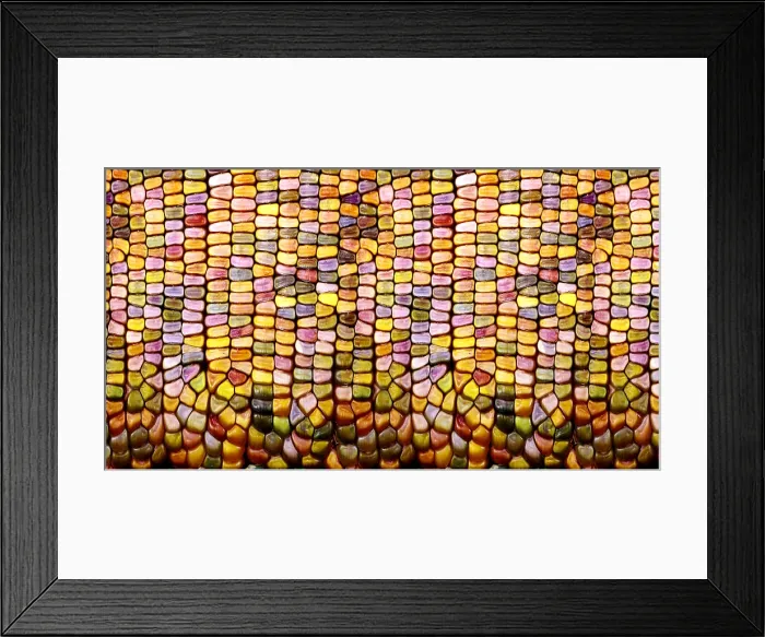 Framed Print : Slit-Scan Image of Flint Corn
