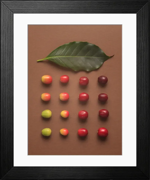 Framed Print : Coffee Beans
