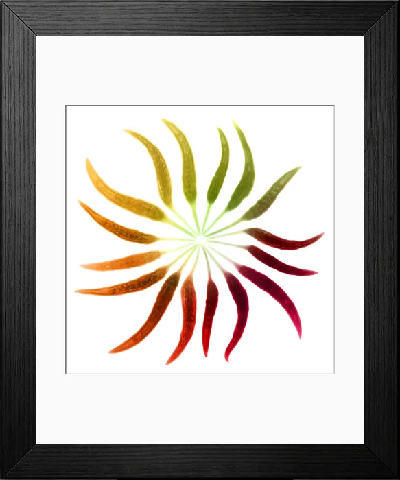 Framed Print : Chili Peppers, X-ray Framed Print : Chili Peppers, X-ray