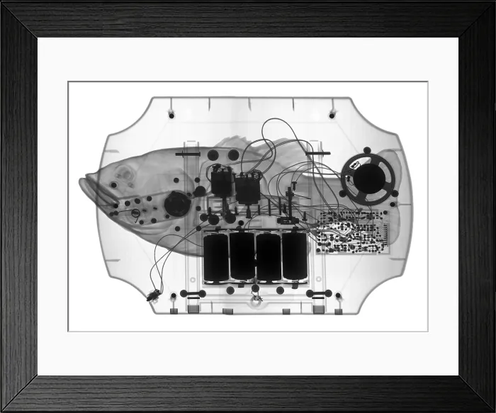 Framed Print : X-ray of mechanical Fish Framed Print : X-ray of mechanical Fish