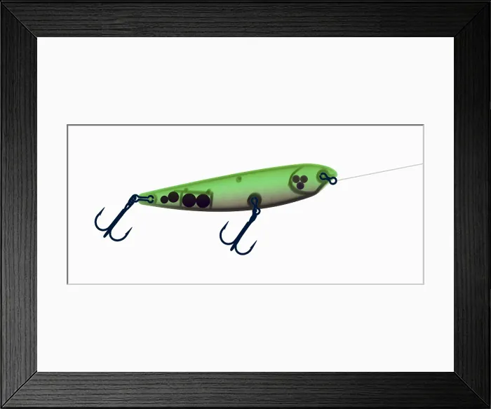 Framed Print : X-ray of Fishing Lure Framed Print : X-ray of Fishing Lure