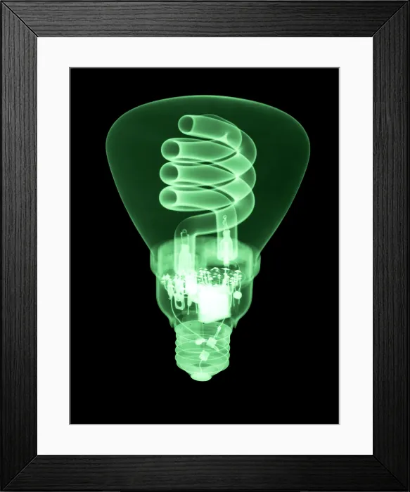 Framed Print : Energy Efficient Light Bulb Framed Print : Energy Efficient Light Bulb