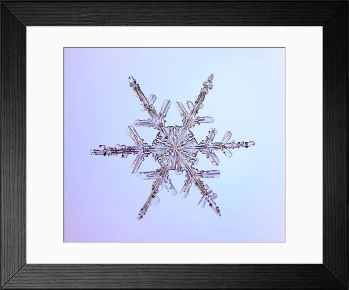 Framed Print : Snowflake with a stellar (or dendritic) crystal form Framed Print : Snowflake with a stellar (or dendritic) crystal form