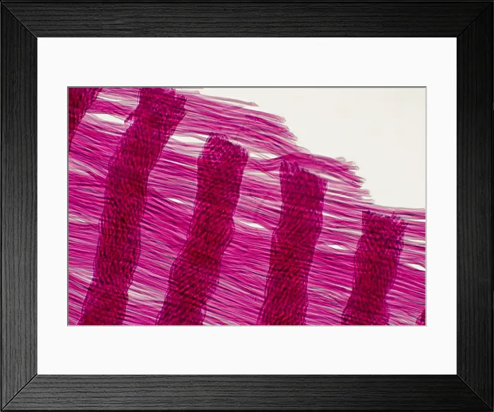 Framed Print : Red Silk Cloth Framed Print : Red Silk Cloth