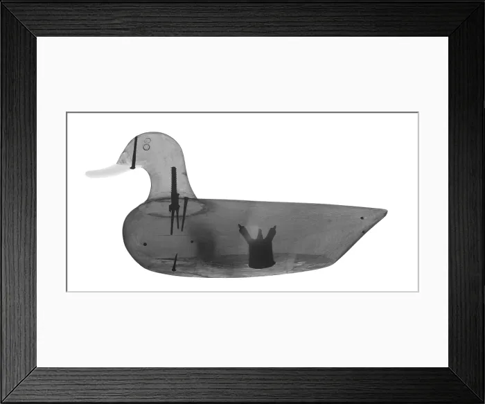 Framed Print : Wooden Duck Decoy Framed Print : Wooden Duck Decoy