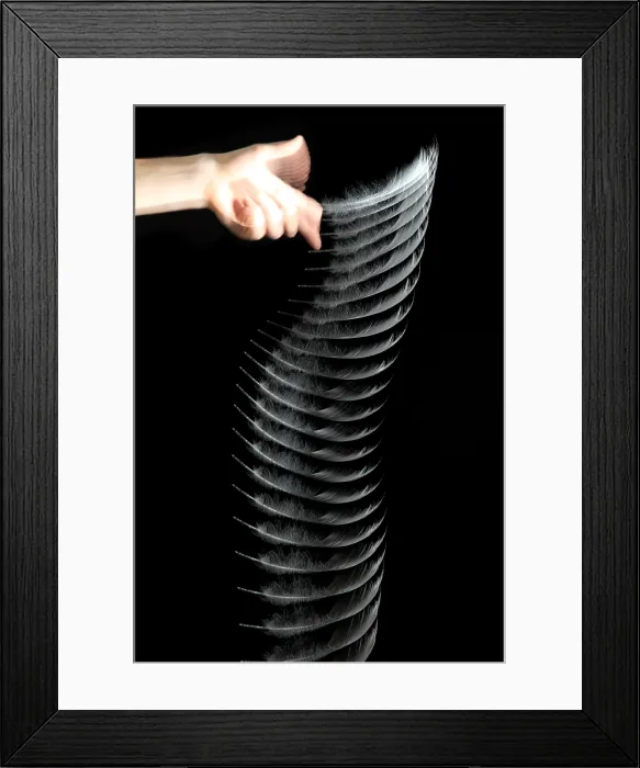 Framed Print : Dropping a Feather Framed Print : Dropping a Feather
