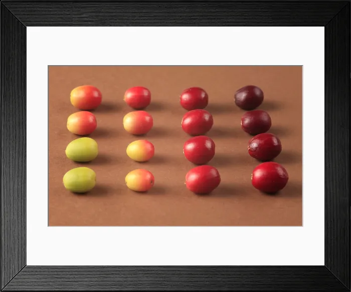 Framed Print : Coffee Beans Framed Print : Coffee Beans