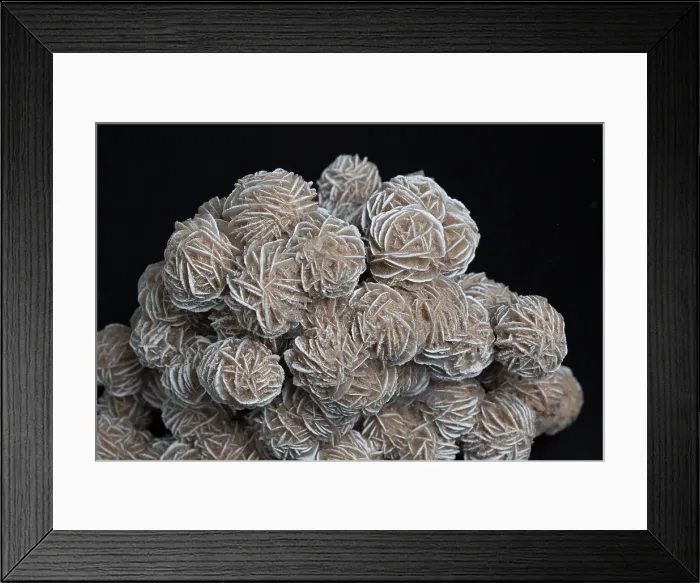 Framed Print : Phosphorescent Desert Rose Barite Framed Print : Phosphorescent Desert Rose Barite
