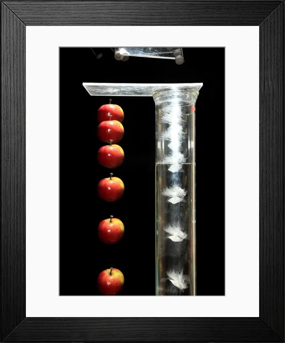 Framed Print : Gravity Comparison Framed Print : Gravity Comparison