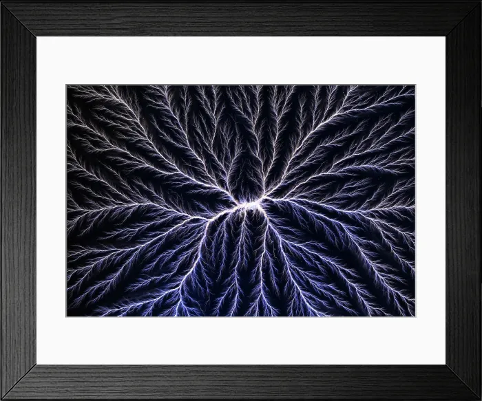 Framed Print : Electrical Discharge (Lichtenberg Figure) Framed Print : Electrical Discharge (Lichtenberg Figure)