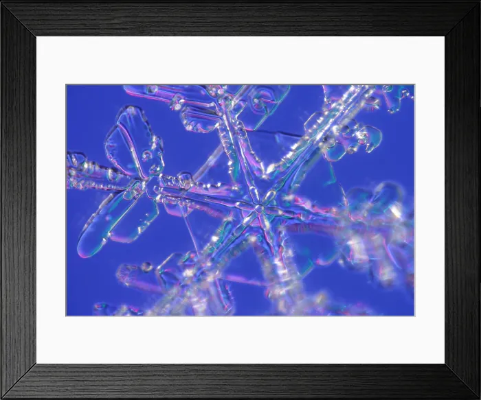 Framed Print : Snowflake. A snowflake or a snow crystal Framed Print : Snowflake. A snowflake or a snow crystal