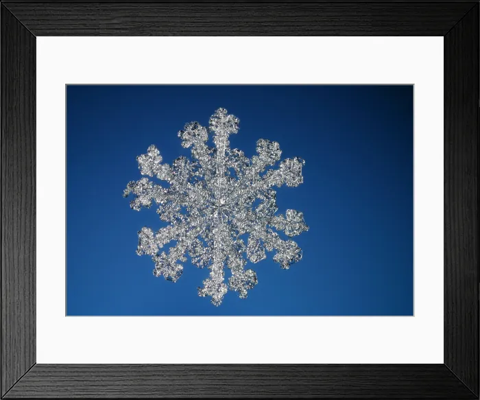 Framed Print : Snowflake. A rare 12 sided snowflake or a snow crystal Framed Print : Snowflake. A rare 12 sided snowflake or a snow crystal