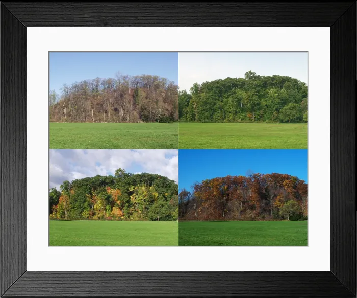 Framed Print : The four seasons