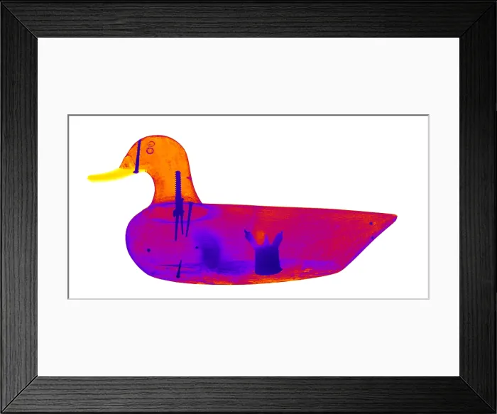 Framed Print : Wooden Duck Decoy Framed Print : Wooden Duck Decoy