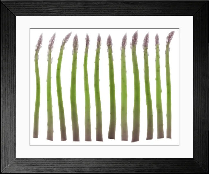 Framed Print : Asparagus, X-ray Framed Print : Asparagus, X-ray