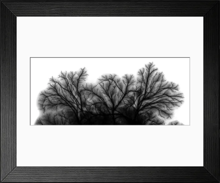 Framed Print : Electric Spark Framed Print : Electric Spark