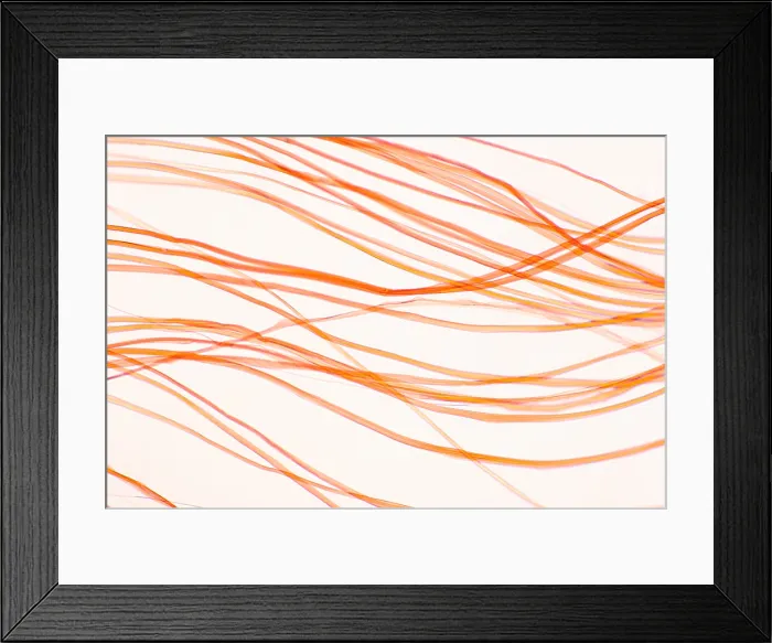 Framed Print : Nylon Fibers under a microscope