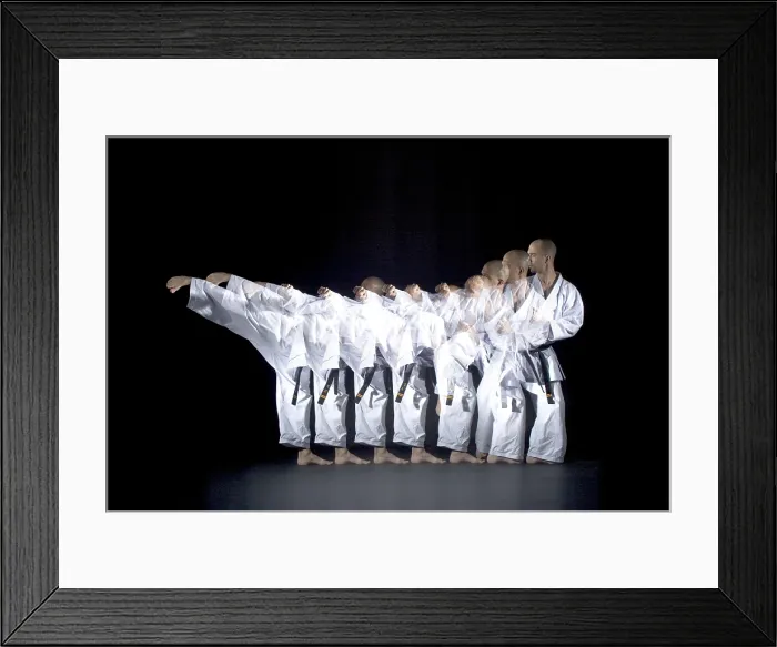 Framed Print : Karate Expert Framed Print : Karate Expert